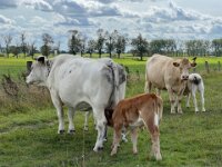 Nachwuchs  iPhone 13 Pro Max  - 04.09.2025 -