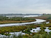 Renaturierte Emschermündung  iPhone 13 Pro Max  - 07.10.2025 -