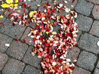 Herbst auf dem Bürgersteig  iPhone 17 Pro Max   - 14.10.2025  -