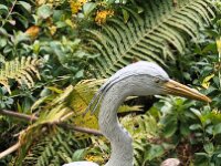 Reiher im Garten  iPhone 17 Pro Max   - 14.10.2025  -