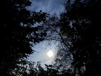 Mond am frühen Morgen  iPhone 17 Pro Max   - 06.11.2025  -