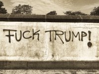 Fuck Trump !  iPhone 8 Plus  - 18.Mai 2019 : Bäume, Graffiti, Himmel, Licht und Schatten, Mauer
