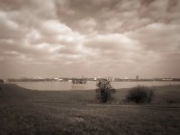 Hochwasser  iPhone 8 Plus  - 06.Februar 2020 - : Rhein, Bäume, Landschaft, Wolken, Hochwasser, Fluss, Wesel