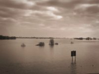 Überflutete Rheinwiesen  iPhone 8 Plus  - 06.Februar 2020 - : Landschaft, Rhein, Fluss, Wolken, Hochwasser