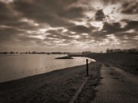 Ende des Weges  iPhone 8 Plus  - 06.Februar 2020 - : Fluss, Wolken, Himmel, Rheinwiesen, Hochwasser