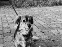 Lucy  iPhone 13 Pro Max  - 19.05.2025 -