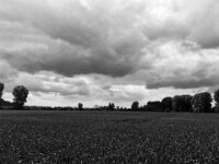 Wolken überm Feld  iPhone 13 Pro Max  - 26.05.2025 -
