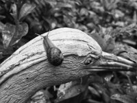 Schnecke auf Kopf  iPhone 13 Pro Max  - 28.05.2025 -