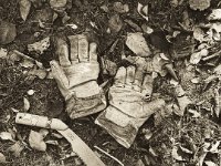 Gartenstillleben  iPhone 8 plus, Sepia grafische Umsetzung  - 20.Oktober 2018 - : Blätter, Garten Erlenstraße, Handschuhe, Herbst, Säge