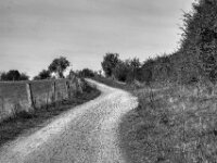 Weg aufwärts auf den Deich  Pentax K-3 Mark III Monochrome, SMC PENTAX-FA 1.9/43 Limited  - 02.09.2026 -