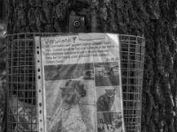 Erstaunlich, die Meldung wurde seit dem 6.August akzeptiert, nicht zerstört.  Pentax K-3 Mark III Monochrome, SMC PENTAX-FA 1.9/43 Limited  - 02.09.2026 -