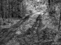 Schon wieder üble Zeichen  Pentax K-3 Mark III Monochrome, SMC PENTAX-FA 1.9/43 Limited  - 02.09.2026 -