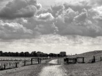 Neben dem Rheindeich  Pentax K-3 Mark III Monochrome, SMC PENTAX-FA 1.9/43 Limited  - 02.09.2026 -