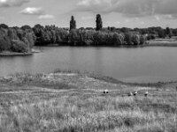 Störche im Lippe Naturschutz  Pentax K-3 Mark III Monochrome, SMC PENTAX-FA 1.9/43 Limited  - 02.09.2026 -