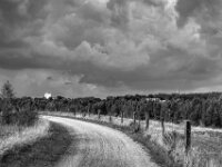 Heimwärts am Lippe - Mündung - Naturschutz  Pentax K-3 Mark III Monochrome, SMC PENTAX-FA 1.9/43 Limited  - 02.09.2026 -