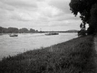 Rheinuferweg  CHINON  Auto 3001 Multifocus, Kentmere Pan 400  - 04.05.2026 -