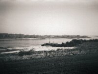 Morgendunst am Rhein  CHINON 3001 Multiscan, Kentmere Pan 400  - 05.10.2026 -