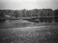 Lippe Naturschutz Aue  CHINON 3001 Multiscan, Kentmere Pan 400  - 05.10.2026 -