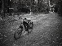 Pause  Chinon Auto 3001 Multifocus, Kentmere Pan 100  - 06.08.2026 -