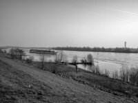 Fahrgastschiff auf dem Rhein  PENTAX K-3 Mark III Monochrome, HD PENTAX - DA* 2.8/ 11-18 ED DC AW  - 07.03.2026 -