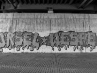 Wespe  PENTAX K-3 Mark III Monochrome, HD PENTAX - DA* 2.8/ 11-18 ED DC AW  - 07.03.2026 -