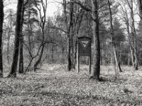 Naturschutz  PENTAX K-3 Mark III Monochrome, HD PENTAX - DA* 2.8/ 11-18 ED DC AW  - 07.03.2026 -