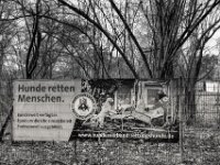 Information  PENTAX K-3 Mark III Monochrome, HD PENTAX - DA* 2.8/ 11-18 ED DC AW  - 07.03.2026 -