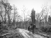 Reiterin an der zerstörten Buche  PENTAX K-3 Mark III Monochrome, HD PENTAX - DA* 2.8/ 11-18 ED DC AW  - 07.03.2026 -