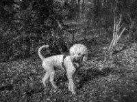 Haltung einnehmen ...  PENTAX K-3 Mark III Monochrome, HD PENTAX - DA* 2.8/ 11-18 ED DC AW  - 07.03.2026 -