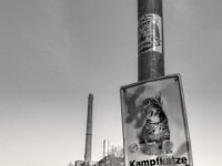 Achtung Kampfkatze  PENTAX K-3 Mark III Monochrome, HD PENTAX - DA* 2.8/ 11-18 ED DC AW  - 07.03.2026 -