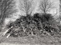 Sie können es nicht lassen  PENTAX K-3 Mark III Monochrome, HD PENTAX - DA* 2.8/ 11-18 ED DC AW  - 07.03.2026 -