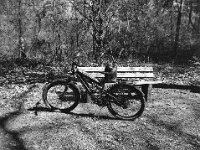 Pause im Wald  Fuji GS 645 S prof.WIDE 60, ADOX CHS 100II@400  - 08.04.2026 -