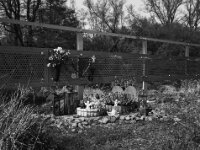 Nicht vergessen  Fuji GS 645 S prof.WIDE 60, ADOX CHS 100II@400  - 08.04.2026 -