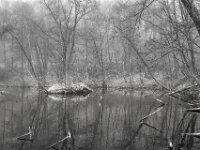 Insel und Enten  Pentax K-1, SMC PENTAX-FA 1.8/31 AL Limited  - 08.02.2026 -