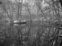 Der Teich, der ein Bombentrichter war  Pentax K-1, SMC PENTAX-FA 1.8/31 AL Limited  - 08.02.2026 -