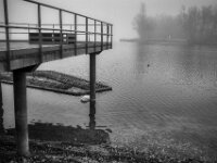 Trauriger Anblick  Pentax K-1, SMC PENTAX-FA 1.8/31 AL Limited  - 08.02.2026 -