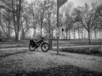 Stop am Xantener Nordsee Steg  Pentax K-1, SMC PENTAX-FA 1.8/31 AL Limited  - 08.02.2026 -