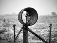 Ein alter Bekannter  Pentax K-1, SMC PENTAX-FA 1.8/31 AL Limited  - 08.02.2026 -