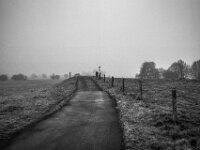 Weg auf dem Deich  Pentax K-1, SMC PENTAX-FA 1.8/31 AL Limited  - 08.02.2026 -