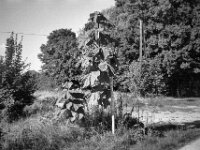 Die Große am Dorfeingang  CHINON 3001 Multiscan, Kentmere Pan 400  - 10.09.2026 -