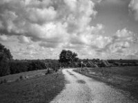Deichweg  CHINON 3001 Multiscan, Kentmere Pan 400  - 10.09.2026 -