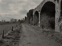 Viadukt Ruine  Pentax 67 II, SMC Takumar 4.5/75, KODAK TX400@200  - 12.03.2026 -