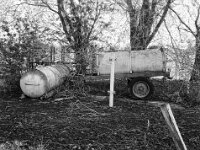 Weidenstillleben  Fuji GS 645 S prof. WIDE 60, Kentmere 400 Pan  - 12.04.2026 -