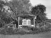 Honigstand  Fuji GS 645 S prof. WIDE 60, Kentmere 400 Pan  - 12.04.2026 -