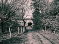 Einfahrt  Fuji GS 645 S prof. WIDE 60, Kentmere 400 Pan  - 12.04.2026 -