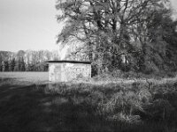 Stromverteiler  CHINON Auto 3001 Multi Auto Focus, Kentmere Pan 100  - 15.04.2026 -