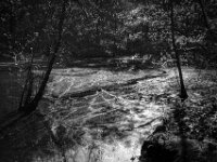 Waldteich am Morgen I  CHINON Auto 3001 Multi Auto Focus, Kentmere Pan 100  - 15.04.2026 -