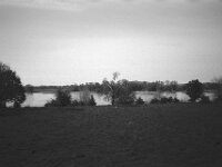 Rheinufer  CHINON Auto 3001 Multi Auto Focus, Kentmere Pan 100  - 15.04.2026 -