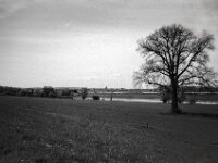 Xantener Dom am Horizont  CHINON Auto 3001 Multi Auto Focus, Kentmere Pan 100  - 15.04.2026 -