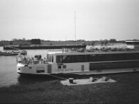 Ausflugsschiff  CHINON Auto 3001 Multi Auto Focus, Kentmere Pan 100  - 15.04.2026 -